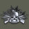 Assault Combat Badge (突击兵战斗徽章)
