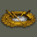 Anti-tank Combat Badge (反坦克兵战斗徽章)
