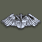 Aviator Badge (飞行员徽章)

