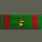 Combat Action Ribbon (战斗行动绶带)
