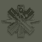 Medic Combat Badge (医疗兵战斗徽章)
