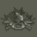 Assault Combat Badge (突击兵战斗徽章)
