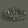 Support Combat Badge (支援兵战斗徽章)
