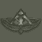 Knife Combat Badge (匕首战斗徽章)
