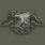 Ground Defense (地面防御徽章)
