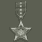 Silver Star (银星勋章)
