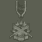 Insurgent Special Service Medal (叛乱分子特别服务勋章)