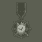 Navy Seal Special Service Medal (海豹突击队特别服务勋章)
