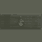 Combat Action Ribbon (战斗行动绶带)
