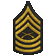 Master Sergeant (军士长)