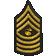 Master Gunnery Sergeant (高级军士长)